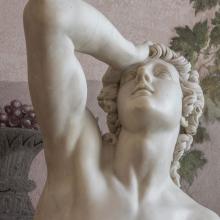  Particolare del volto maschile di Ciparisso ritratto nell' invocazione della morte di Apollo