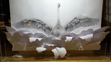 Cartasia2022- Chiaro scuro raffigurante Un cigno che plana sull'acqua