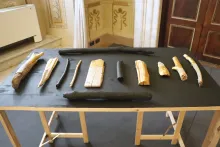 Oggetti esposti nella Sala del Trono 2