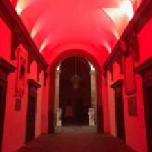 Immagine ingresso Palazzo Ducale illuminato di rosso per la campagna del fiocco bianco